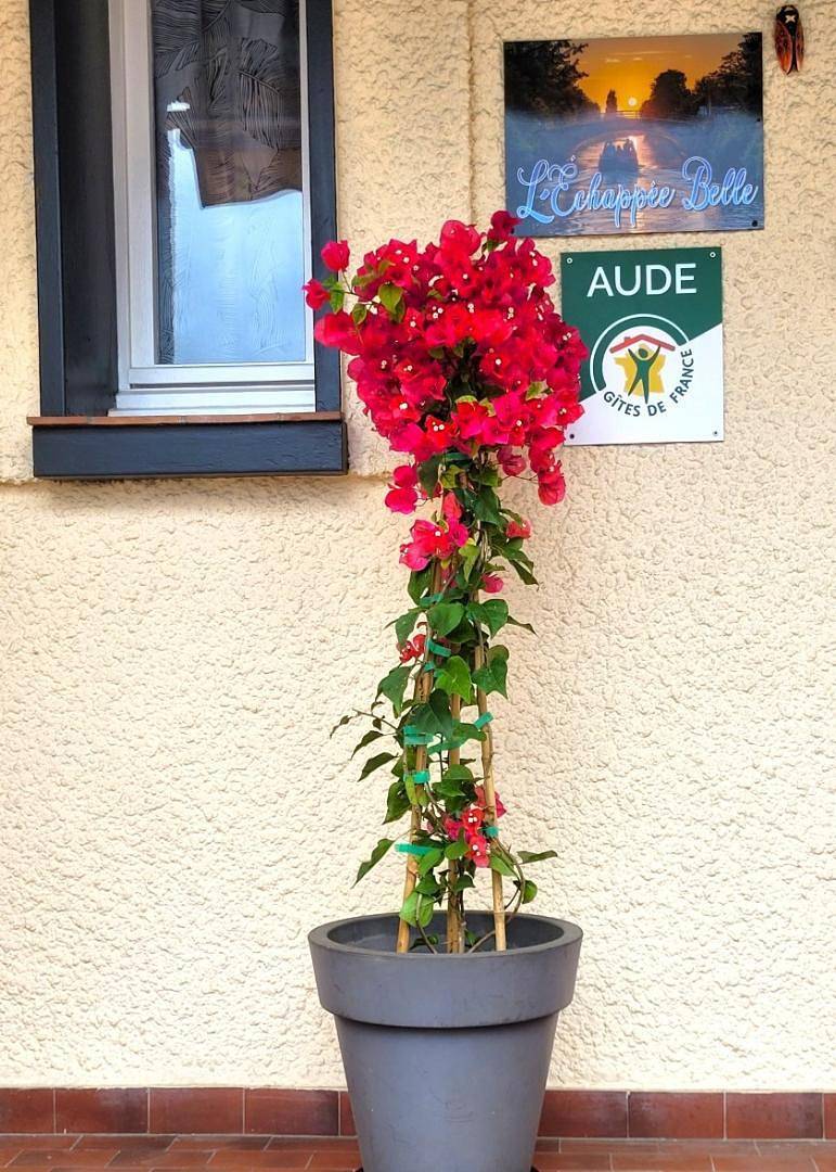 L'échappée Belle in Carcassonne, Région de Carcassonne