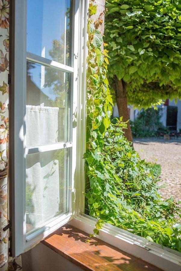 Hôtel pour 5 personnes, avec terrasse et vue à Montagny-lès-Beaune - 4
