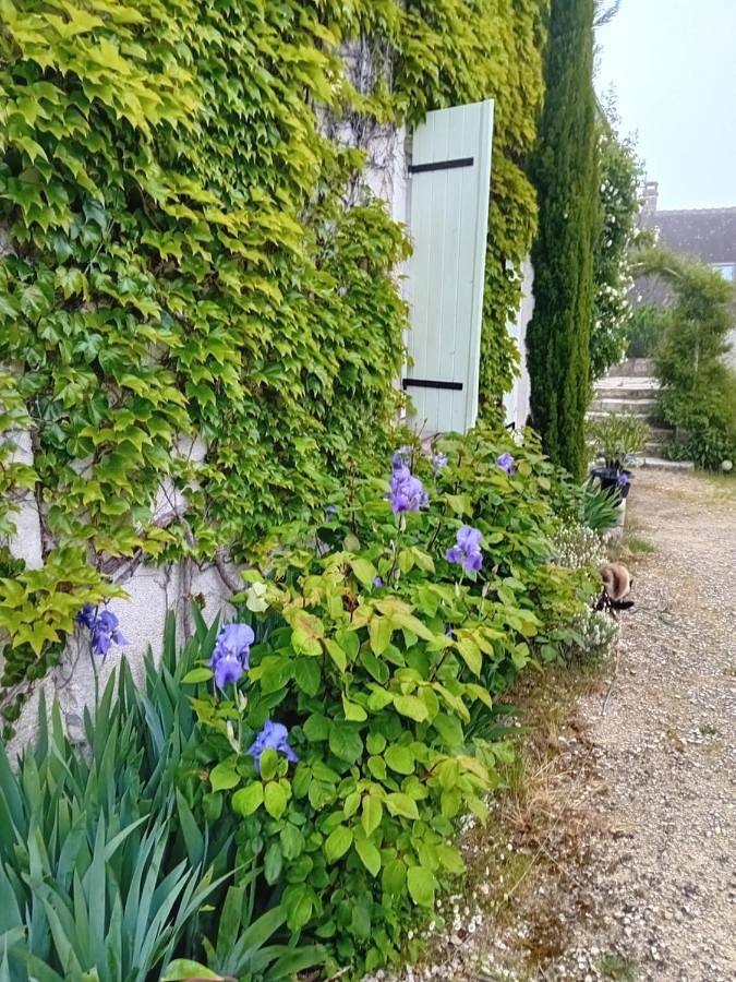 Chambre d’hôte pour 2 personnes, avec Terrasse ainsi que Jardin et Piscine à Saint-Georges-sur-Cher