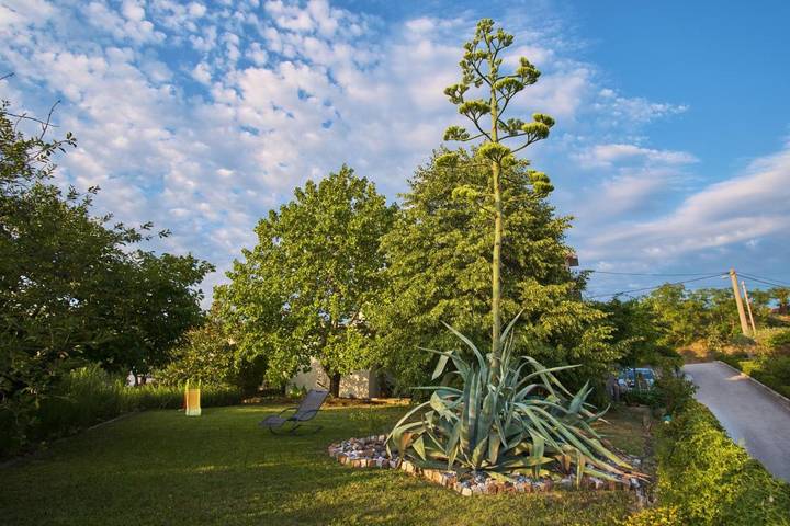 Ferienwohnung für 6 Personen, mit Ausblick und Garten, mit Haustier - 1