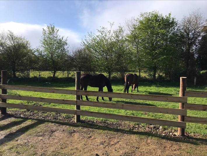 Gîte pour 4 personnes, avec jardin à Plourhan - 4