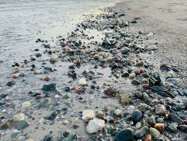 Hotel für 2 Personen, mit Terrasse, mit Haustier in Lobbe - 4