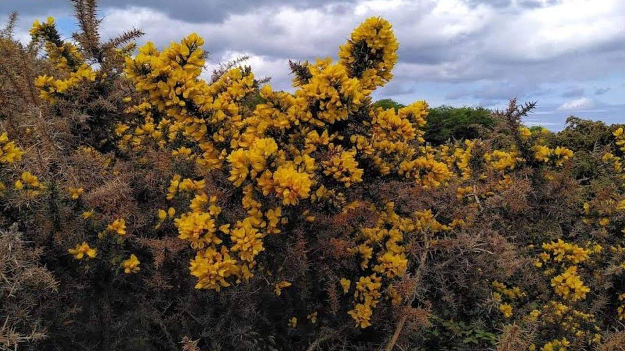 Ferienhaus für 5 Personen (42 m²) in Rørvig in Rørvig, Nordwestseeland