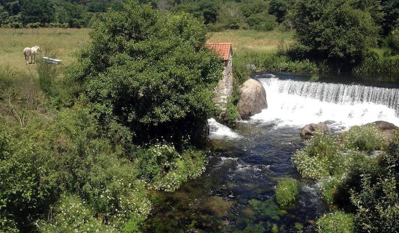 Tente pour 2 personnes, avec terrasse et sauna ainsi que vue et jardin, animaux acceptés dans Portugal du Nord - 3
