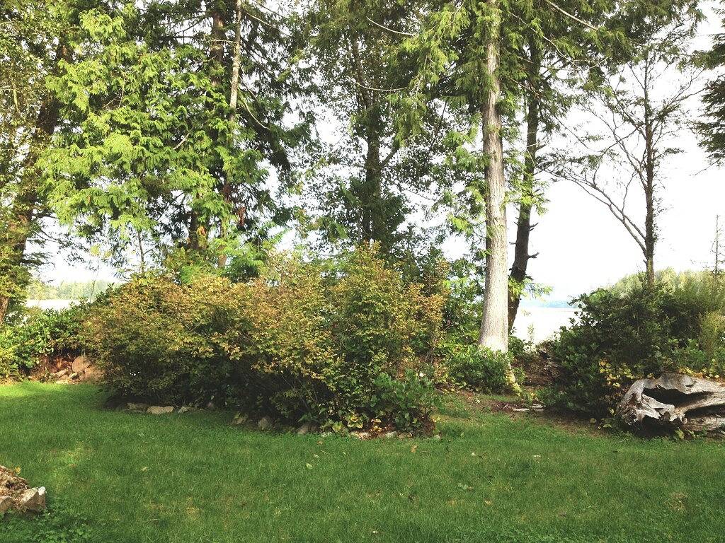 Sommerurlaub! Whirlpool! Deck! Bbq in Tofino, Alberni-Clayoquot Regional District