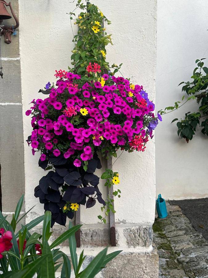 Location de vacances pour 4 personnes, avec jardin, animaux acceptés dans Corre - 3