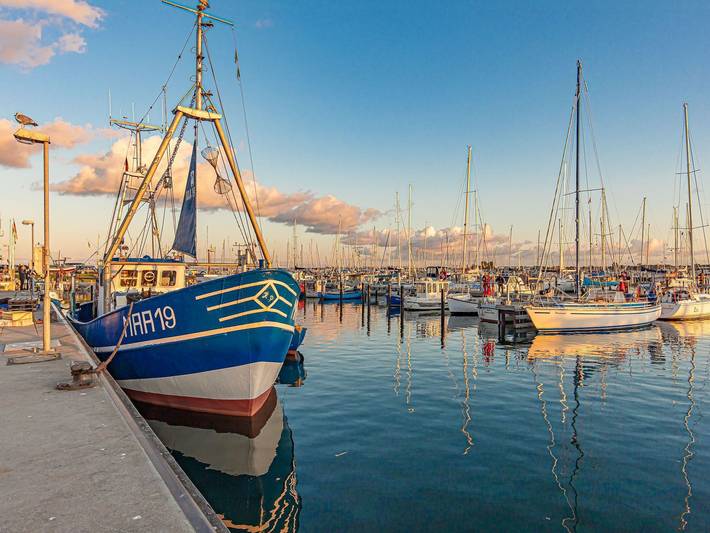 Ferienhaus für 4 Personen, mit Terrasse in Schlei - 4