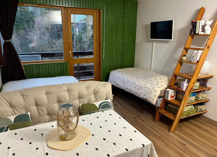 Gîte pour 3 personnes, avec terrasse à Malbuisson - 4