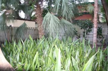 Vacation Home for 6 Guests in Coconut Grove, Biscayne National Park, Picture 2