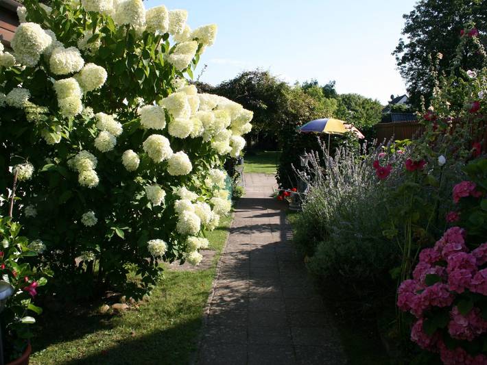 Ferienwohnung für 3 Personen, mit Garten in Gingst - 3