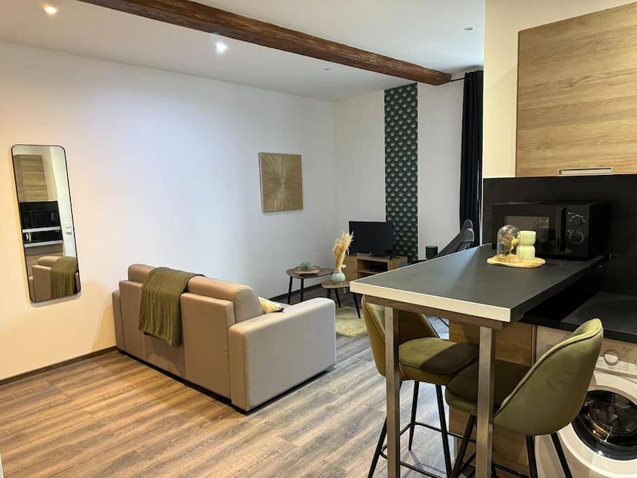 Appartement entier, Studio Apartment in Saint-Germain-au-Mont-d'Or, Lyon et ses environs