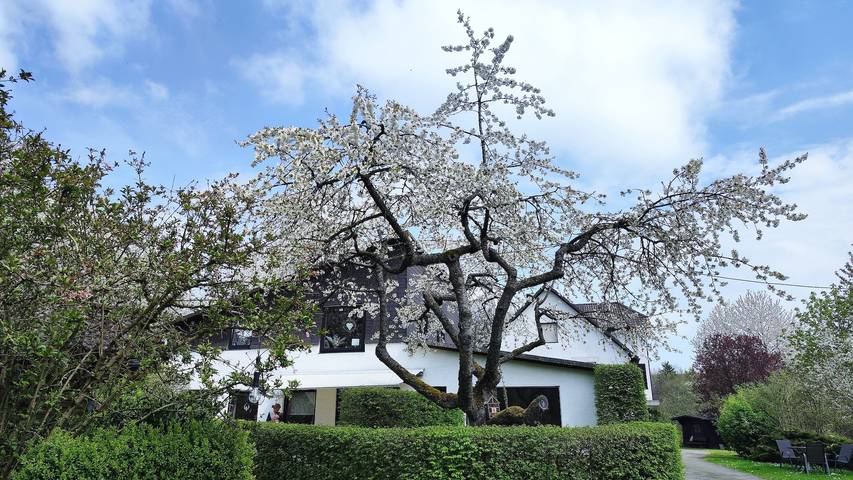 Vakantiewoning voor 5 personen, met tuin in Hallenberg