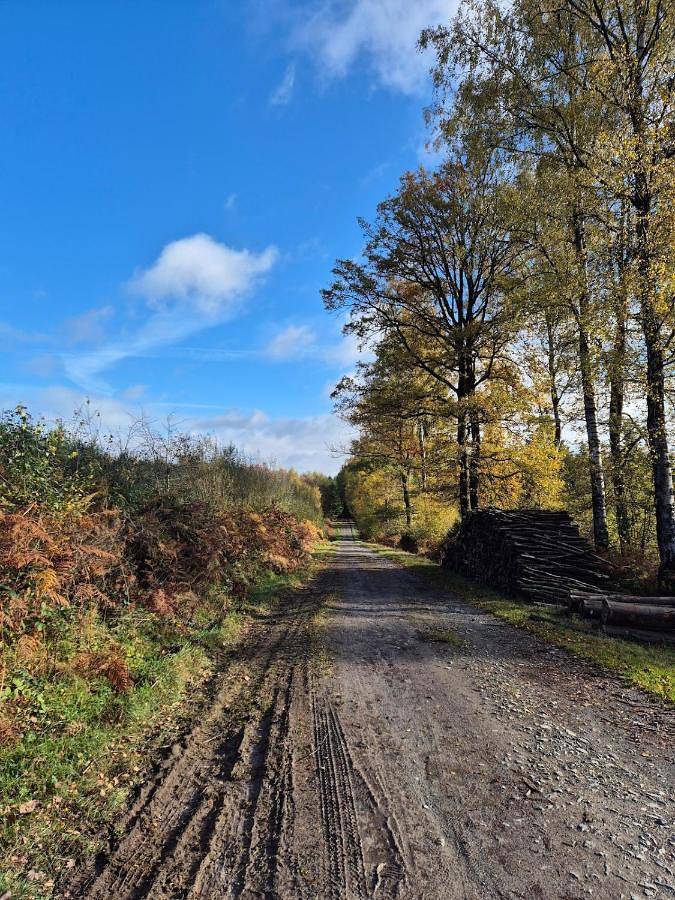 Gîte pour 2 personnes à Gerpinnes - 4