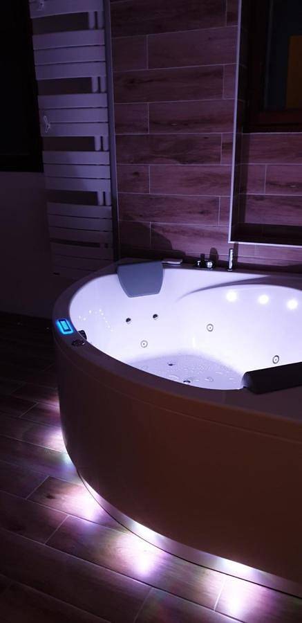 Gîte pour 3 personnes, avec jardin et jacuzzi à Montlouis-sur-Loire - 3