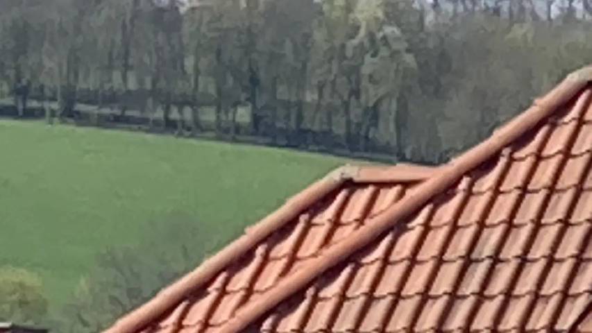 Ferienwohnung für 2 Personen, mit Haustier in Eisenach