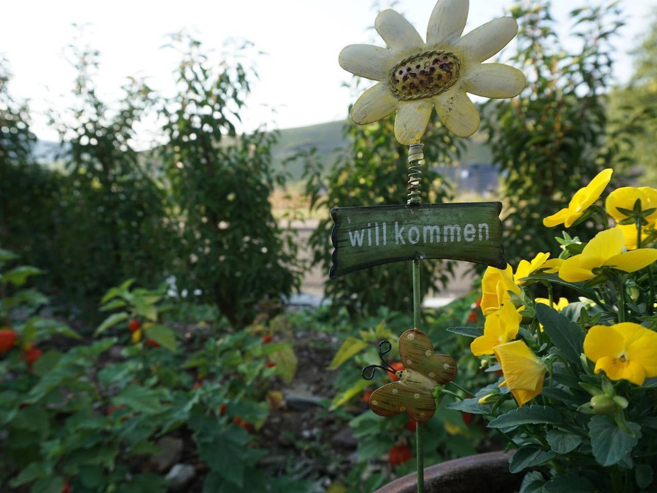 Ganze Ferienwohnung, Weingut Norbert u. Claudia Breit in Brauneberg, Bernkastel-Kues & Umgebung