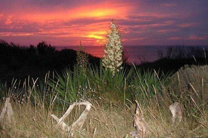 Maison de vacances pour 4 personnes, avec jardin