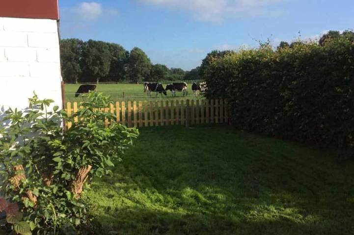 Agriturismo für 5 Personen, mit Garten in Leer - 3