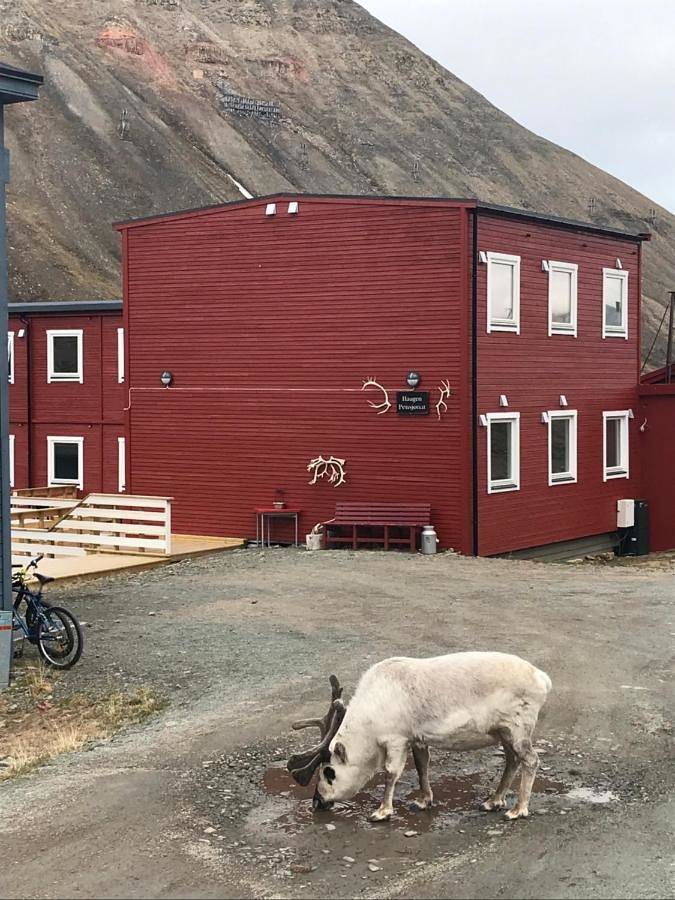Haugen Pensjonat Svalbard in Longyearbyen, Spitzbergen