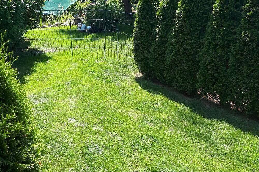 Ganze Wohnung, Ferienwohnung Neubrandenburg für 1 - 4 Personen mit 1 Schlafzimmer - Ferienwohnung in Tollensesee, Neubrandenburg