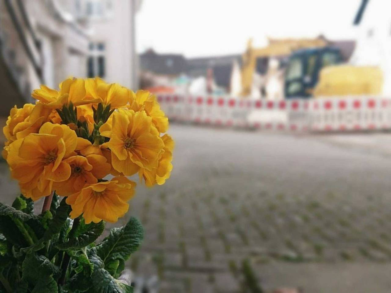 Ganze Ferienwohnung, Ferien im Heckenland in Kenzingen, Südschwarzwald