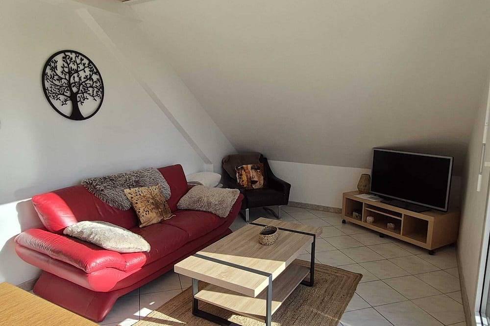 Ganze Wohnung, Bright apartment in a house in Haguenau, Nordelsass