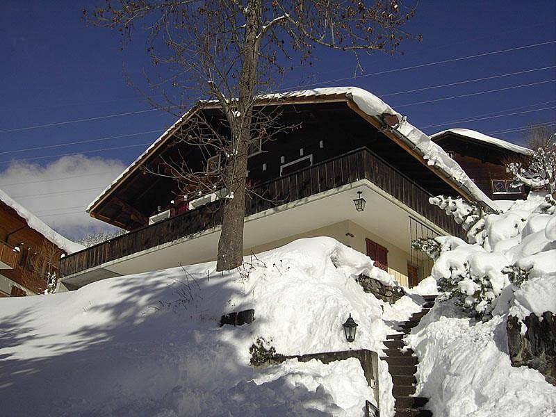 Ganze Ferienwohnung, Chalet Abigrot 4-Bettwohnung in Hasliberg, Berner Oberland
