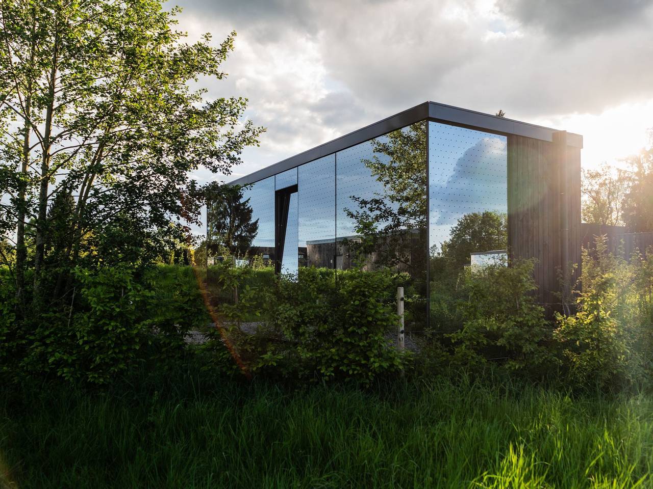 (7) Style 2 Hund in Schleiden, Rureifel (Nordrhein-westfalen)