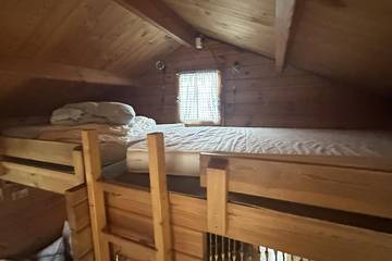 Log Cabin for 4 People in Breege, Baltic Sea, Photo 1