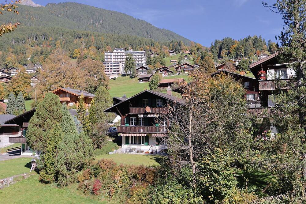 Ganze Wohnung, Chalet Spassvogel in Grindelwald, Verwaltungskreis Interlaken-Oberhasli