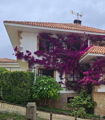 Gîte pour 6 personnes, avec terrasse et vue dans Tazones