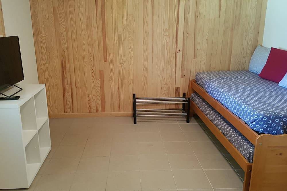 Entire apartment, T1 bis 25m2 on the ground floor of a mountain chalet Ax Bonascre in French Pyrenees