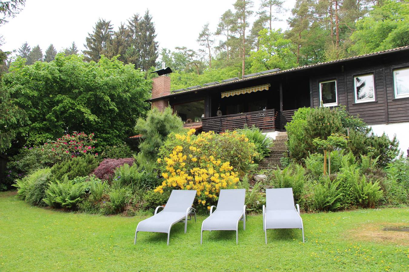 Ferienhaus Naturliebe 6000qm Parkgarten am Wald, umzäunt, Kamin, Sauna in Laubach, Landkreis Gießen