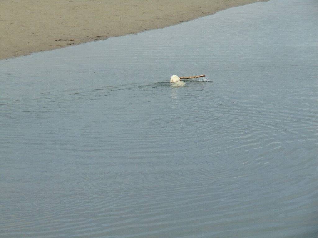 Landhausimmobilie Whitepoint Estates in Region of Queens Municipality, Queens County