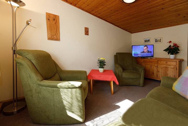 Ferienwohnung für 4 Personen, mit Garten und Terrasse, mit Haustier im Erzgebirge - 3
