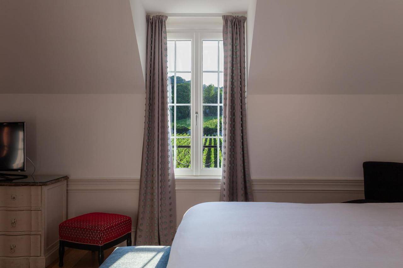 Le clos des belvals in Vertus, Marne