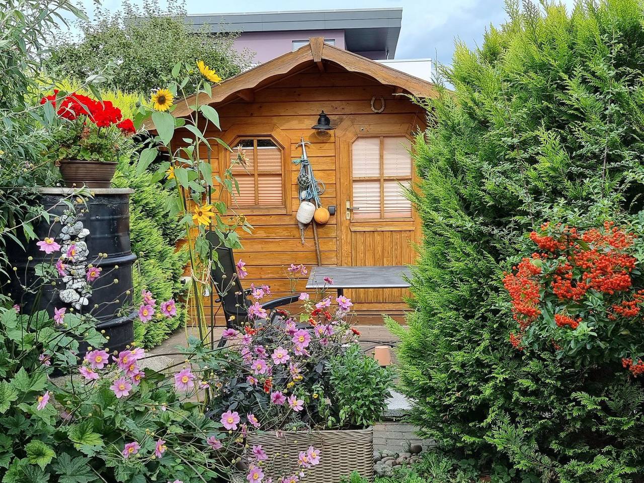 Ganze Ferienwohnung, Ferienwohnung Kollwitz - Hafennähe - Ferienwohnung Kollwitz in Sassnitz, Nationalpark Jasmund