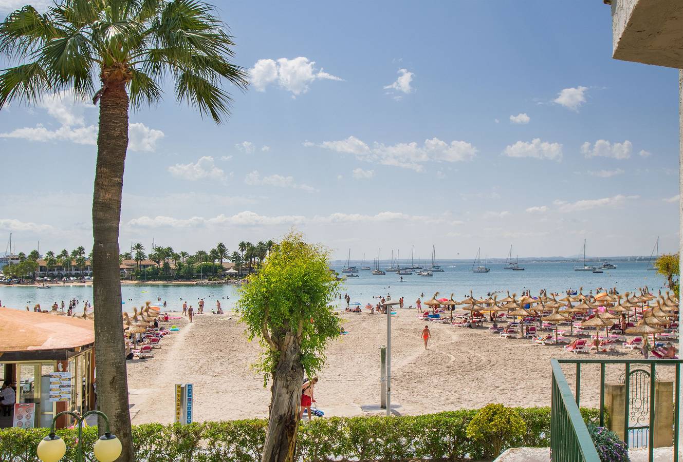 Ganze Wohnung, Carabela Beach für 4 mit Pool nur 10 m vom Strand in Playa de Alcúdia, Alcúdia