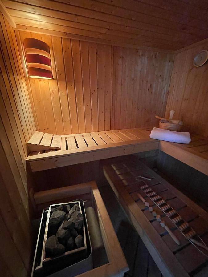 Location de vacances pour 10 personnes, avec jacuzzi et piscine ainsi que balcon et sauna à Sciez - 2