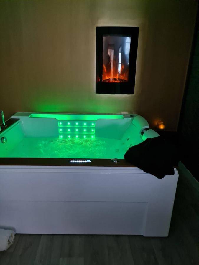 Villa pour 2 personnes, avec jacuzzi et jardin à Toulouse - 3