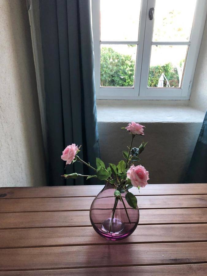 Gîte pour 2 personnes, avec jardin et vue à Saint-Just-Luzac - 4