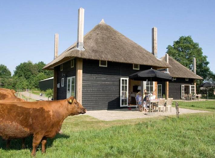 Vakantiehuis voor 5 personen, with Terras and Sauna as well as Uitzicht in Wierden