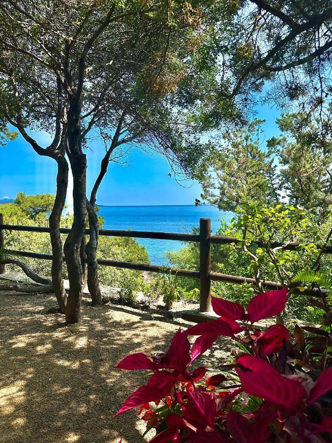 Gîte pour 11 personnes, avec vue et jardin dans Cardedu - 3