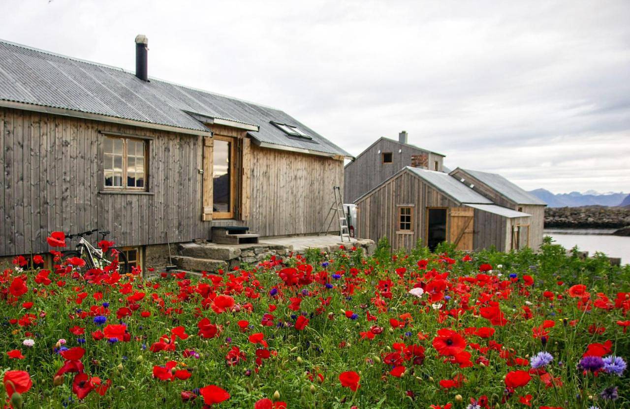 Villa Lofoten - Fisherman's cabin in Vestvågøy 