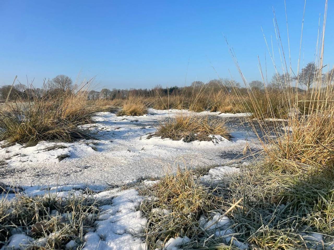 Meedehof Moorhausen, Wh Pferdestall - Ferienwohnung Pferdestall in Varel, Südliche Nordseeküste