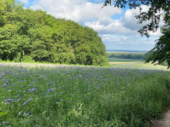 Ferienwohnung für 5 Personen, kinderfreundlich in Worpswede - 4