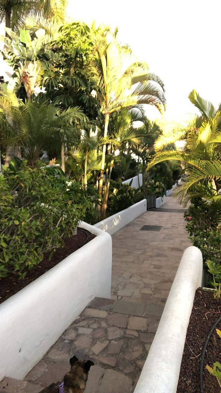 Ferienwohnung für 5 Personen, mit Balkon und Terrasse sowie Garten und Pool in Callao Salvaje - 4
