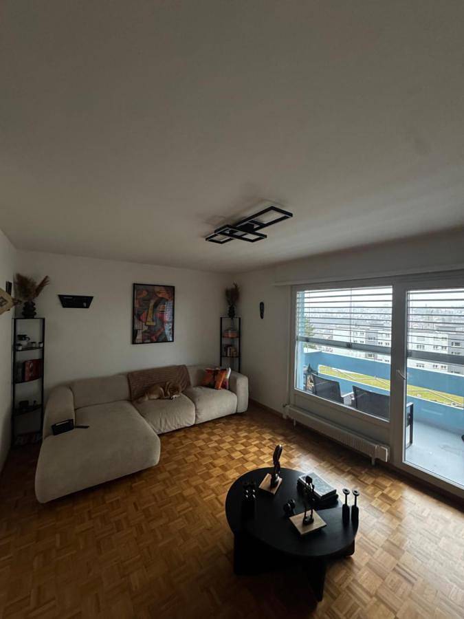 Gîte pour 3 personnes, avec vue et terrasse, animaux acceptés à Fribourg