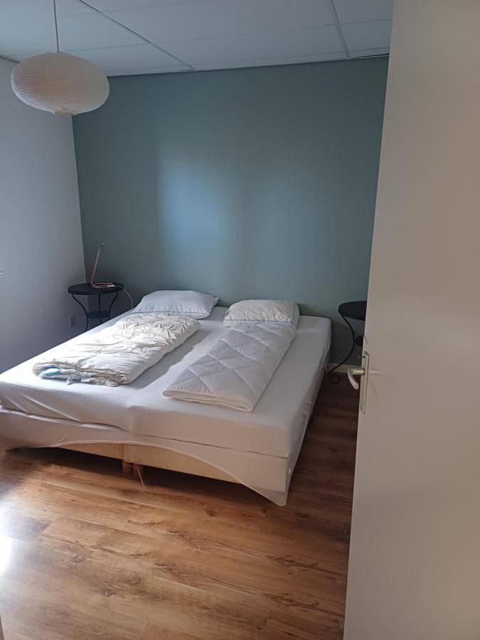 Ferienwohnung für 4 Personen, mit Terrasse, mit Haustier in Petten - 3