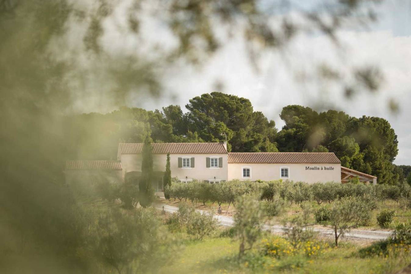 Moulin à Huile de la Restanque in Roubia, Region de Narbonne